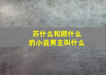 苏什么和顾什么的小说男主叫什么