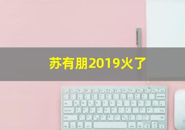 苏有朋2019火了