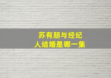 苏有朋与经纪人结婚是哪一集