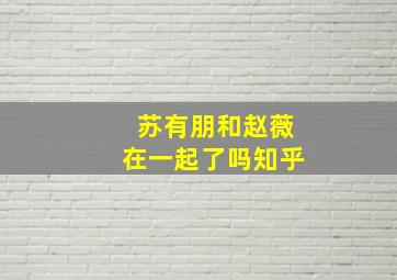 苏有朋和赵薇在一起了吗知乎