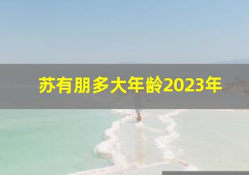 苏有朋多大年龄2023年