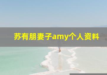 苏有朋妻子amy个人资料