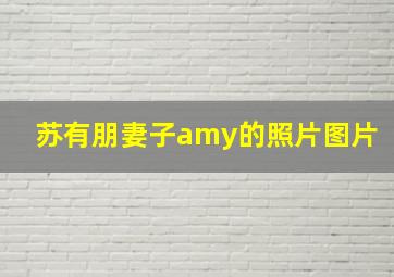 苏有朋妻子amy的照片图片