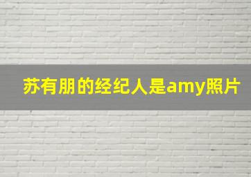 苏有朋的经纪人是amy照片