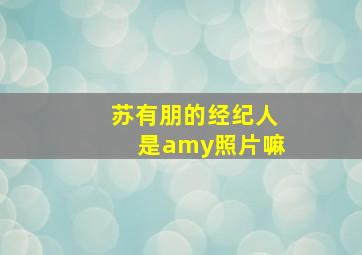 苏有朋的经纪人是amy照片嘛