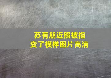 苏有朋近照被指变了模样图片高清