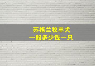 苏格兰牧羊犬一般多少钱一只