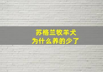 苏格兰牧羊犬为什么养的少了