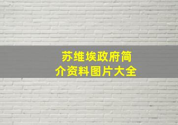 苏维埃政府简介资料图片大全