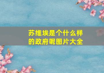 苏维埃是个什么样的政府呢图片大全