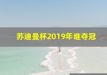 苏迪曼杯2019年谁夺冠