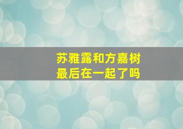 苏雅露和方嘉树最后在一起了吗