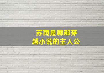 苏雨是哪部穿越小说的主人公