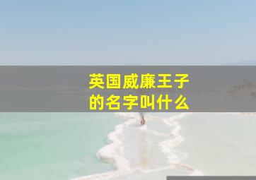 英国威廉王子的名字叫什么