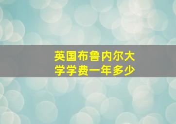 英国布鲁内尔大学学费一年多少