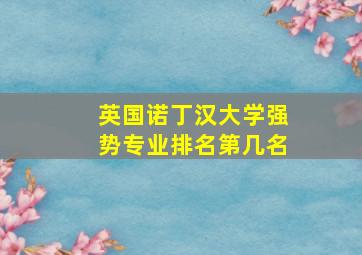 英国诺丁汉大学强势专业排名第几名