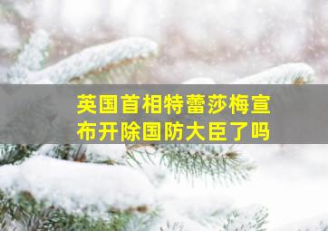 英国首相特蕾莎梅宣布开除国防大臣了吗