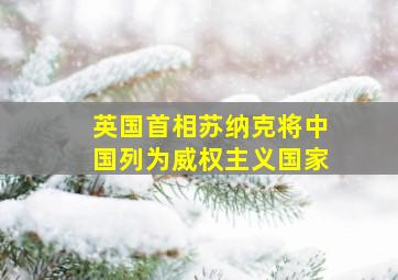 英国首相苏纳克将中国列为威权主义国家