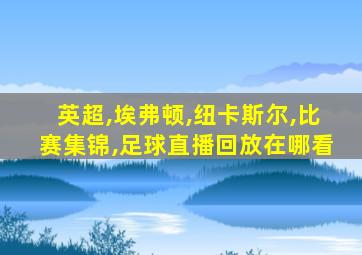 英超,埃弗顿,纽卡斯尔,比赛集锦,足球直播回放在哪看