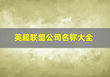 英超联盟公司名称大全