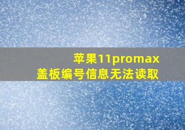 苹果11promax盖板编号信息无法读取