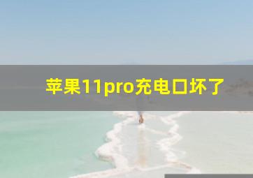 苹果11pro充电口坏了