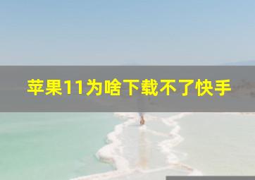 苹果11为啥下载不了快手