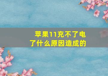 苹果11充不了电了什么原因造成的