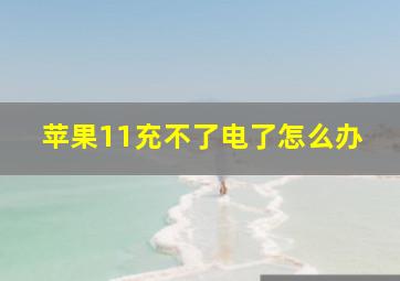 苹果11充不了电了怎么办