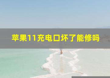 苹果11充电口坏了能修吗