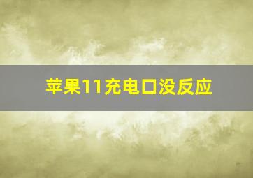 苹果11充电口没反应