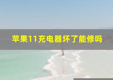 苹果11充电器坏了能修吗