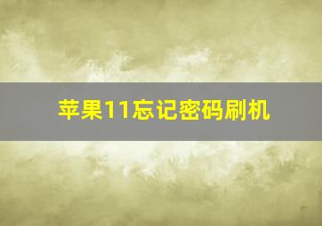 苹果11忘记密码刷机