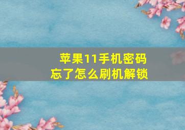 苹果11手机密码忘了怎么刷机解锁