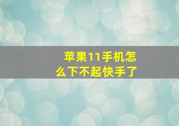 苹果11手机怎么下不起快手了