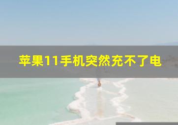 苹果11手机突然充不了电