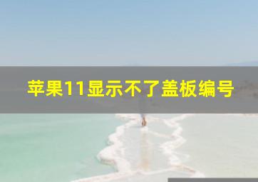 苹果11显示不了盖板编号