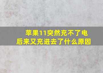 苹果11突然充不了电后来又充进去了什么原因