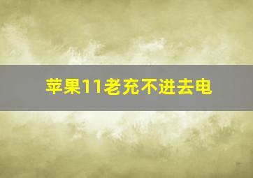 苹果11老充不进去电