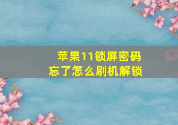 苹果11锁屏密码忘了怎么刷机解锁