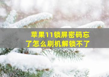 苹果11锁屏密码忘了怎么刷机解锁不了