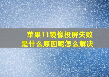 苹果11镜像投屏失败是什么原因呢怎么解决