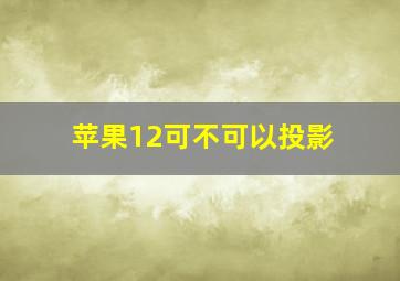 苹果12可不可以投影