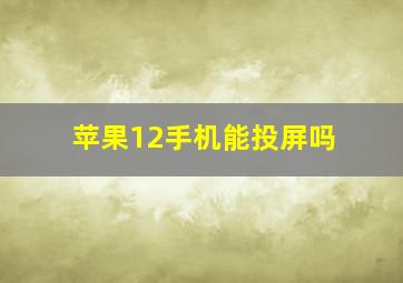 苹果12手机能投屏吗