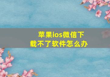 苹果ios微信下载不了软件怎么办