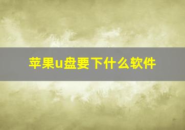 苹果u盘要下什么软件