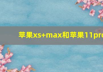 苹果xs+max和苹果11pro