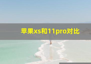 苹果xs和11pro对比