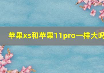 苹果xs和苹果11pro一样大吗