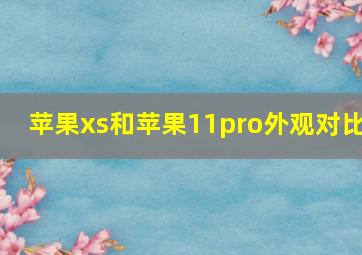 苹果xs和苹果11pro外观对比